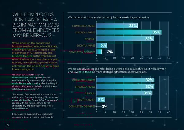 AI Momentum, Maturity & Models for Success - Page 18