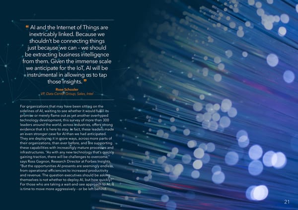 AI Momentum, Maturity & Models for Success - Page 21
