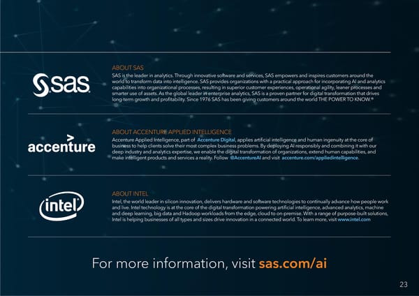 AI Momentum, Maturity & Models for Success - Page 23